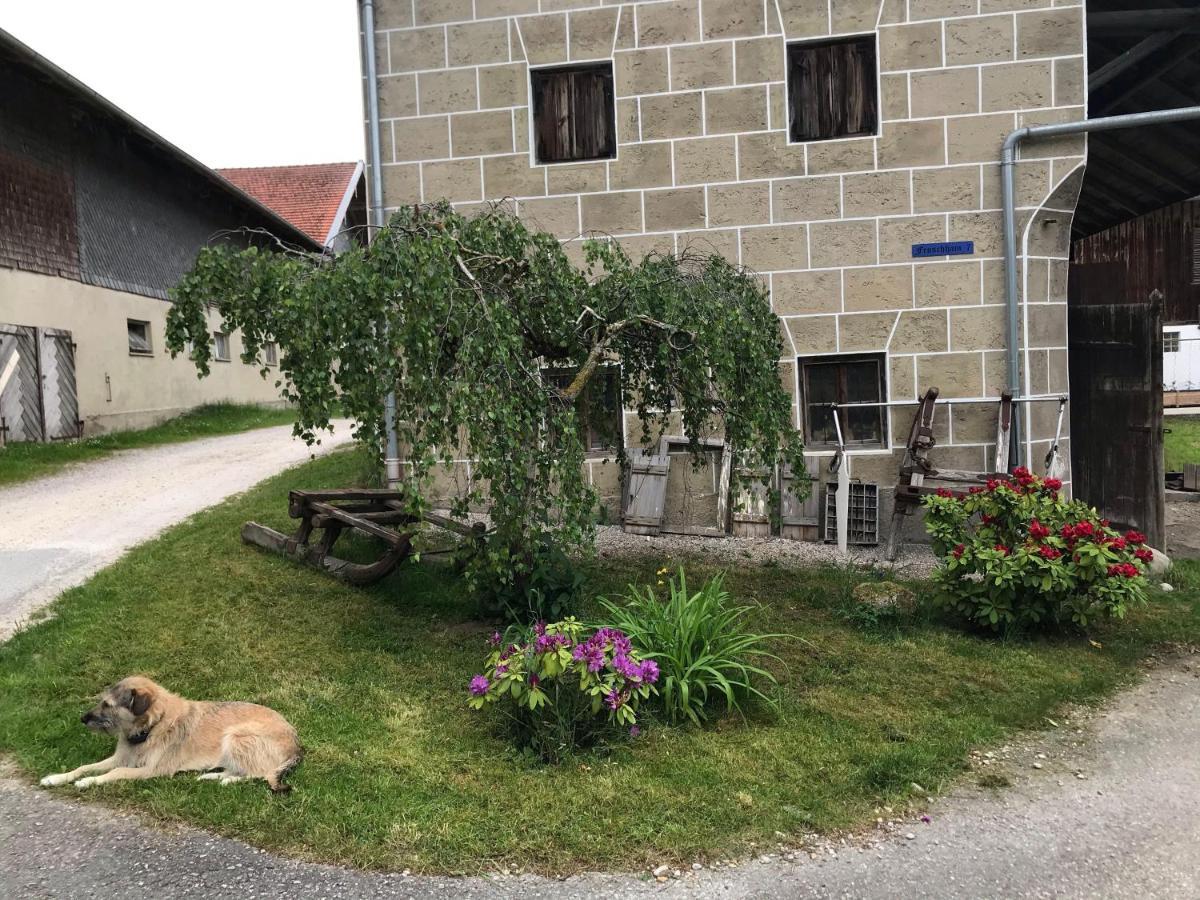 Pferdehof-Dietzsch Tittmoning المظهر الخارجي الصورة